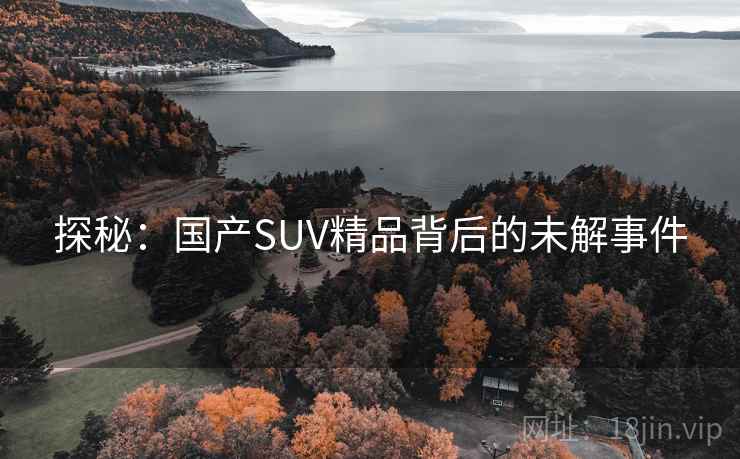 探秘：国产SUV精品背后的未解事件