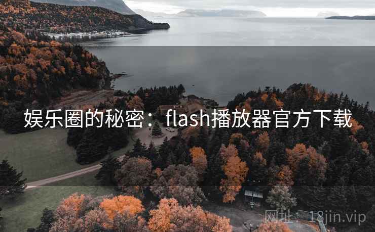 娱乐圈的秘密：flash播放器官方下载